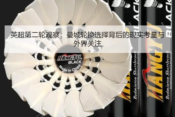 ying-chao-di-er-lun-guan-cha-man-cheng-lun-huan-xuan-ze-bei-hou-de-xian-shi-kao-liang-yu-wai-jie-guan-zhu-2-319.jpg
